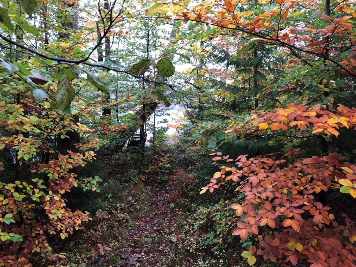 Naturskoent Boende Vid Sjoe Skånes Fagerhult Екстериор снимка